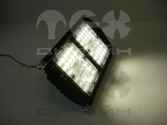 Уличный светодиодный светильник ДКУ 29-120-501