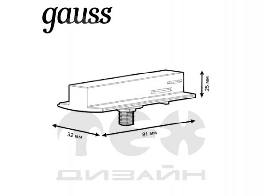  Gauss       (  )  