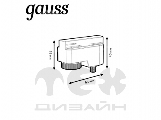  Gauss        